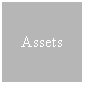 Text Box: Assets