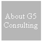 Text Box: About G5 Consulting
