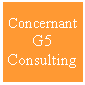 Text Box: Concernant G5 Consulting